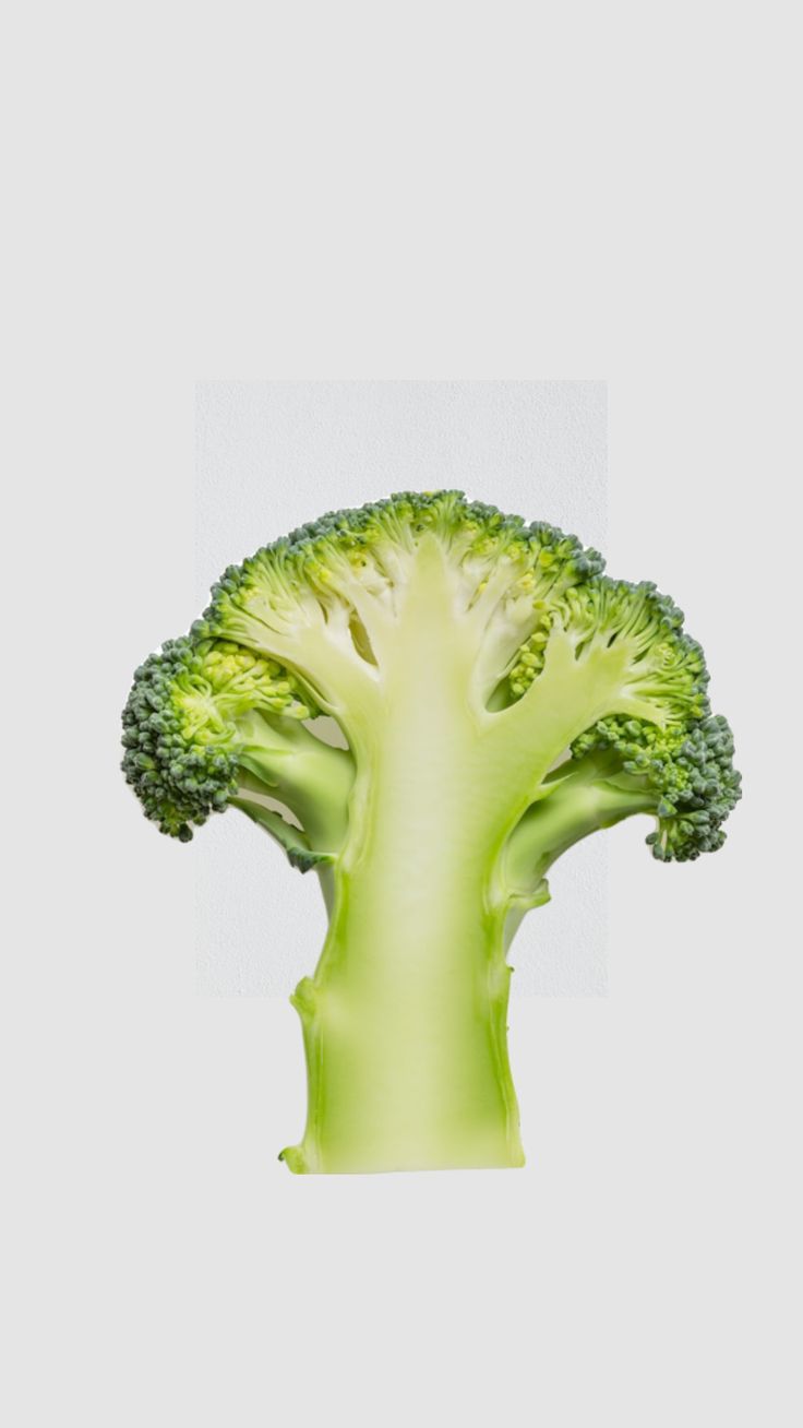 a piece of broccoli is shown in the middle of an image with white background