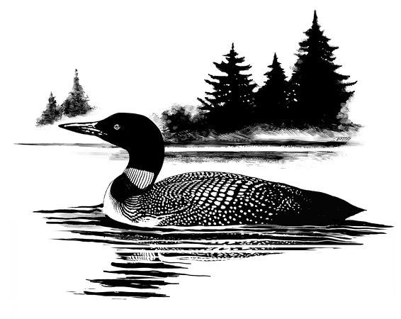 a black and white photo of a duck in the water with pine trees behind it