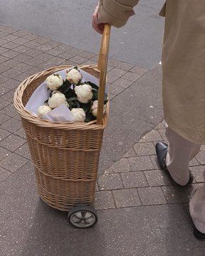 a person pushing a basket with flowers in it