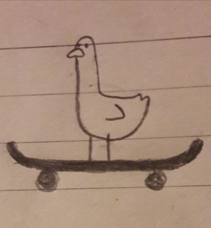 a drawing of a bird on a skateboard with wheels drawn by someone's hand