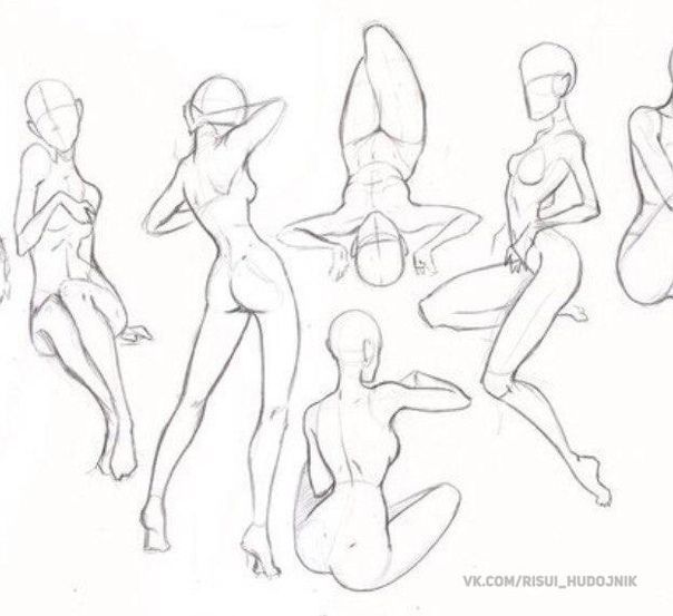 a line drawing of different poses and body shapes