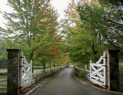 an open gate leading to a road surrounded by trees