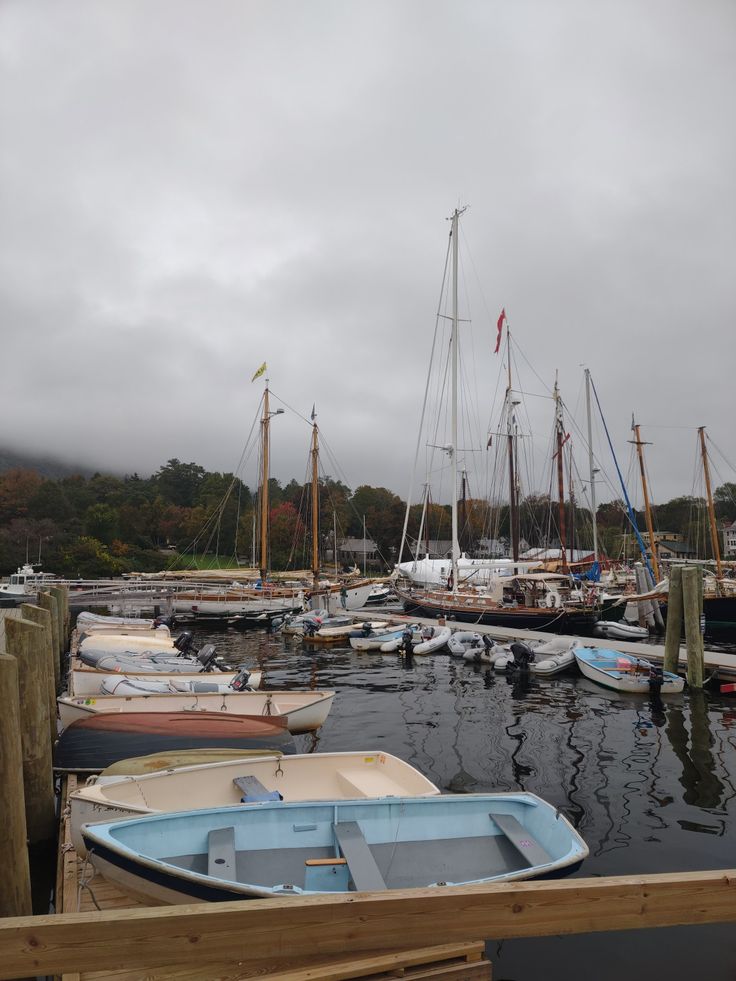 several boats are docked in the water on a cloudy day