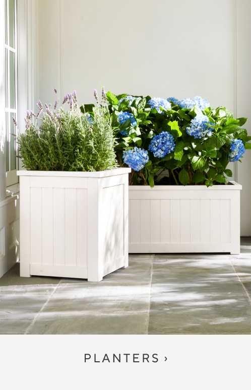 two white planters with blue flowers in them