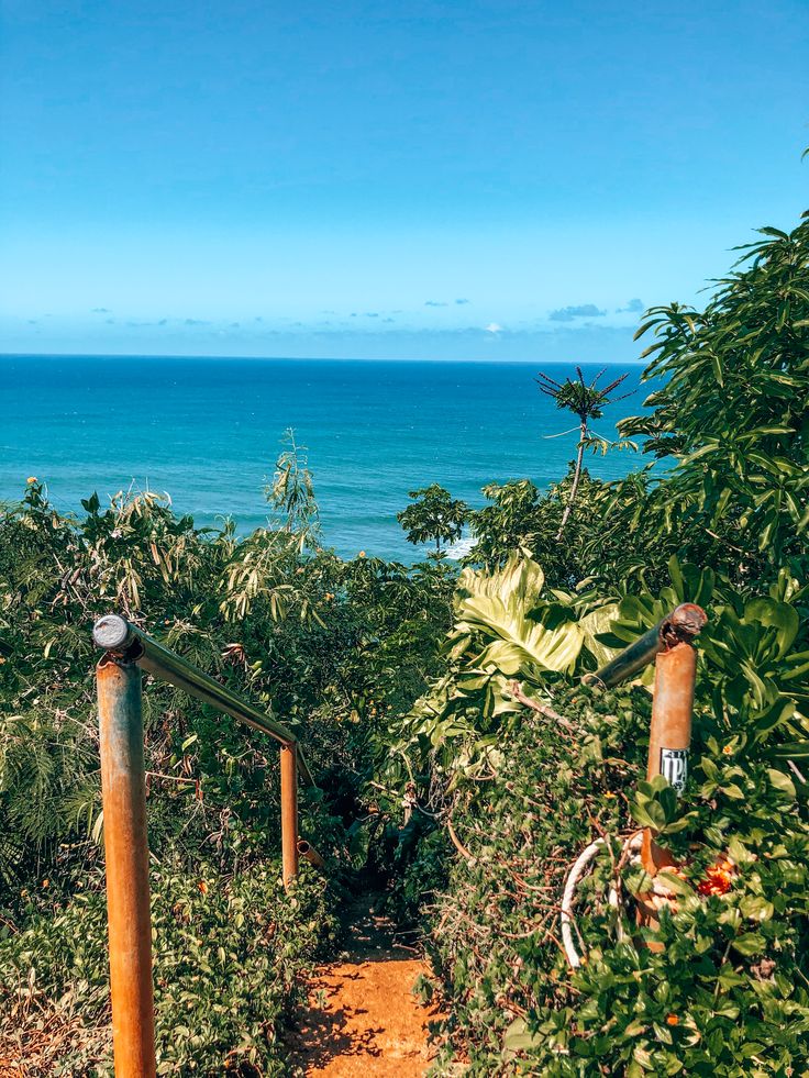 a wooden path leading to the ocean on a sunny day