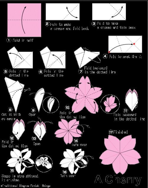 how to make an origami flower with paper - step by step instructions for