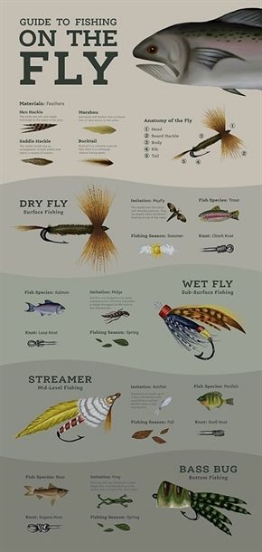 a poster with different types of fish on it's sides and the words, guide to fishing on the fly