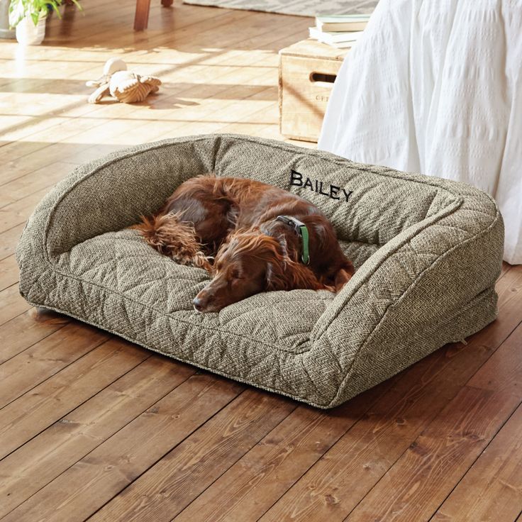 a brown dog laying on top of a bed in a living room next to a wooden floor