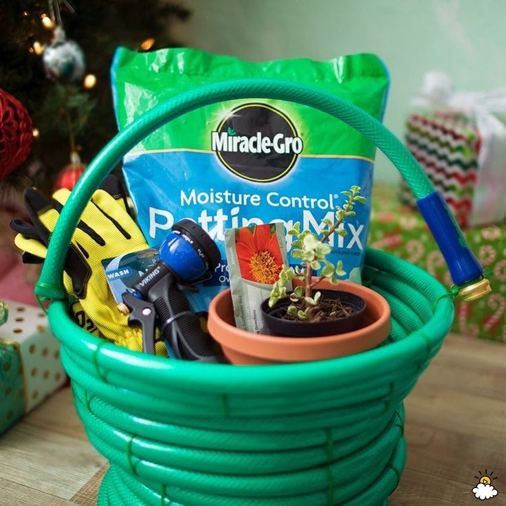 a green basket filled with gardening supplies next to a christmas tree