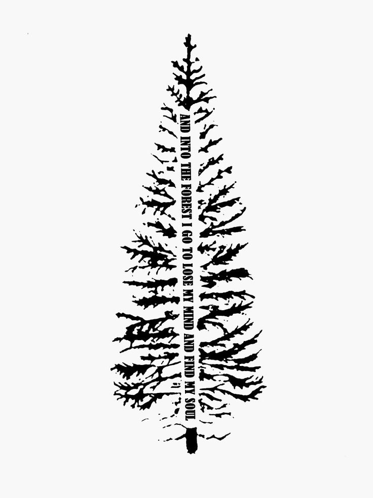 a black and white drawing of a pine tree