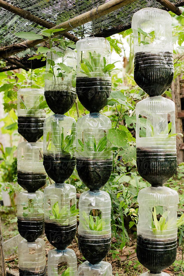 Plastic Containers For Gardening: A Sustainable Solution For Green Thumbs