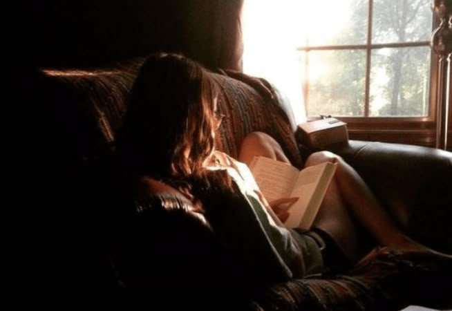 Mara Dyer, Aria Montgomery, Mazzy Star, Mary Shelley, Reading A Book, Academia Aesthetic, Intj, Autumn Aesthetic, Girl Next Door