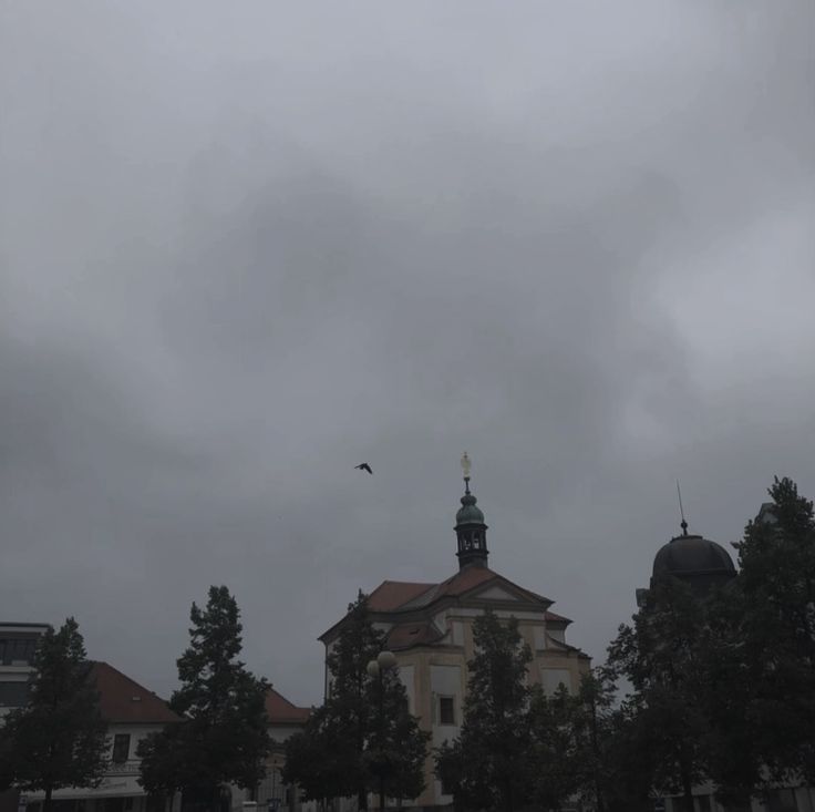 a bird flying in the sky over a building with two domes on it's roof