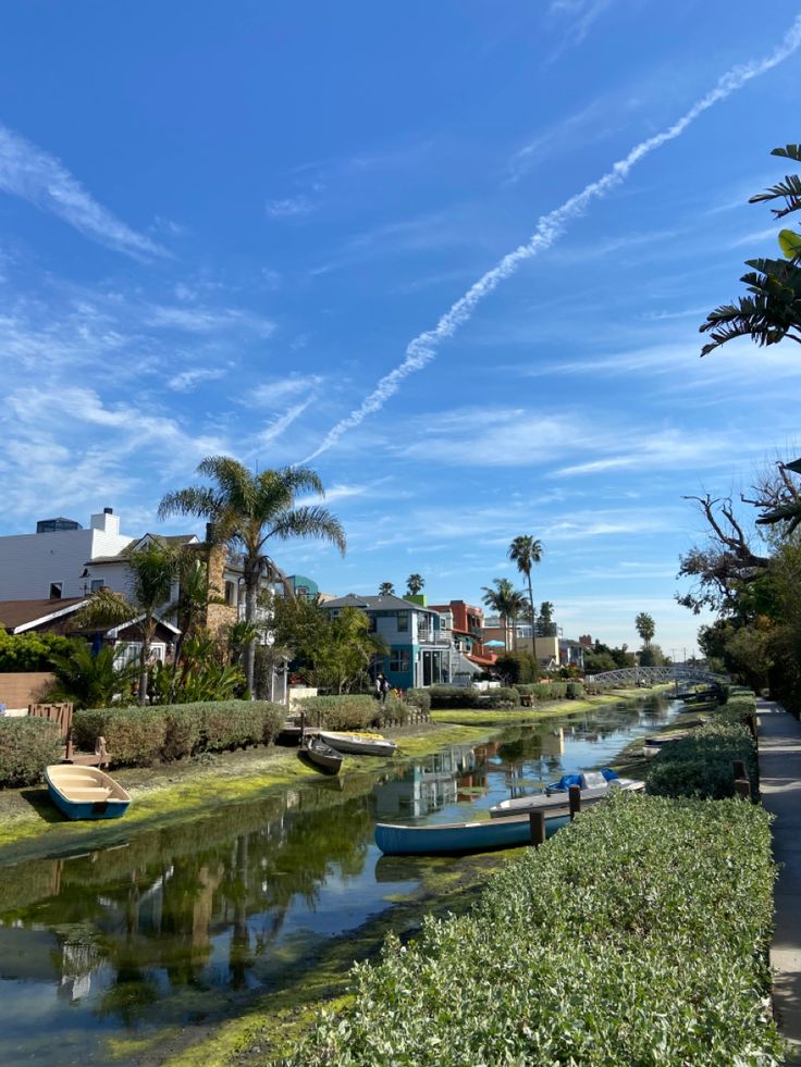 several small boats are docked on the water near some houses and palm tree's