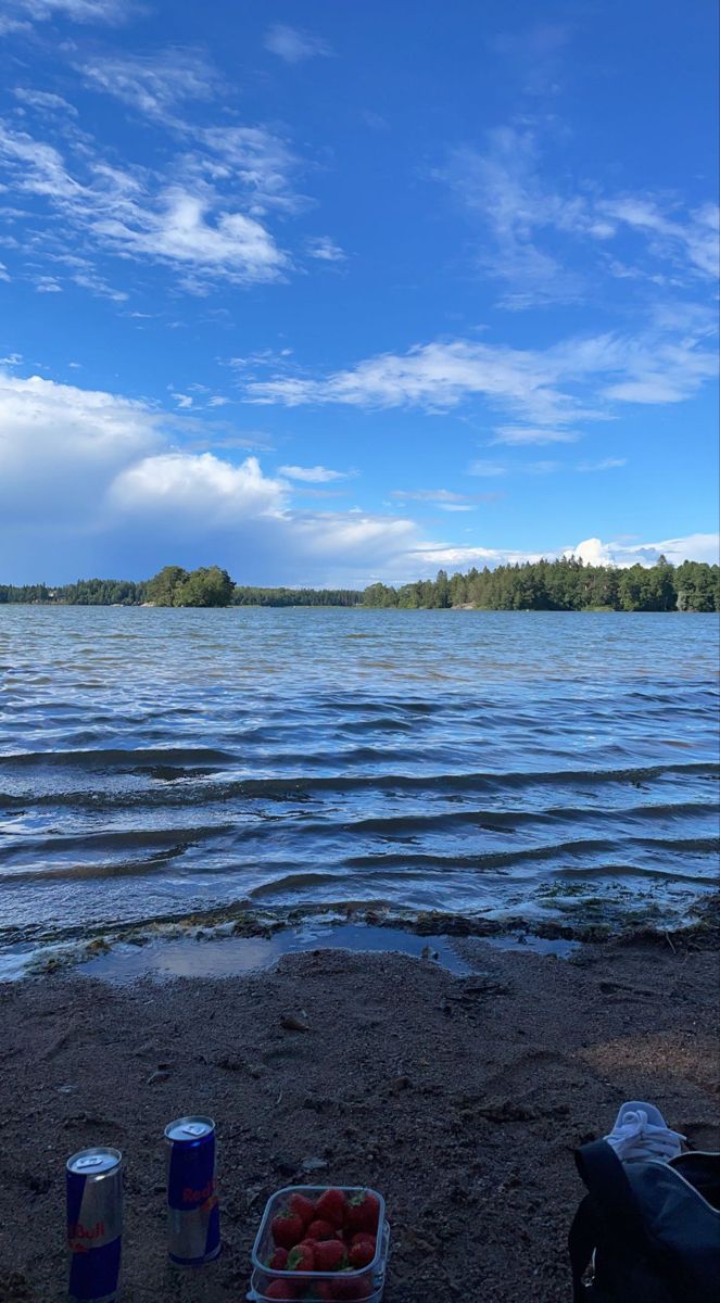 two cans of water and some strawberries on the sand near a lake with trees in the background