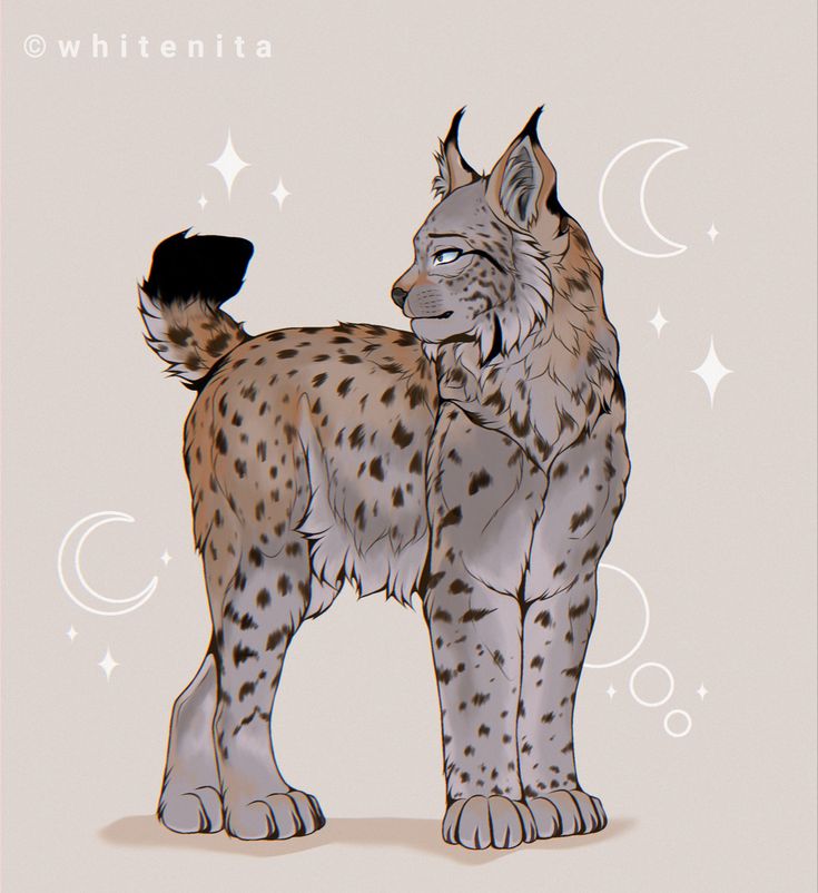 a drawing of a cheetah standing in front of the moon with stars on it