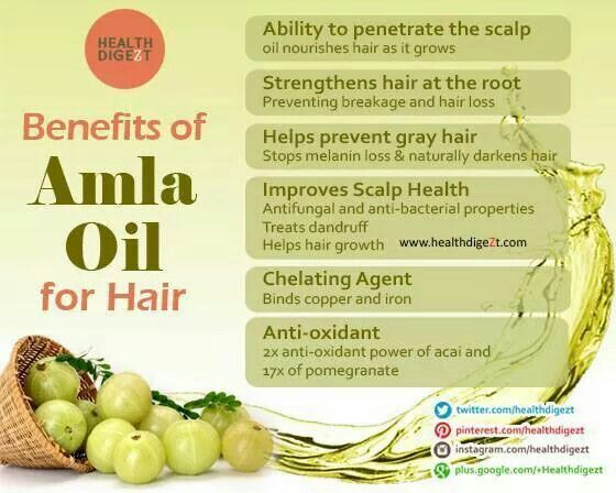 . Darken Hair Naturally, Hair Pigmentation, Prevent Grey Hair, Amla Hair Oil, How To Darken Hair, Help Hair Growth, Amla Oil, Hair Nutrition, Hair Roots