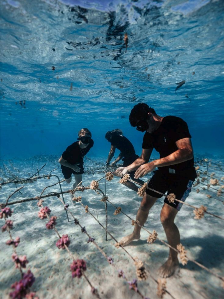 three people in black shirts are standing on the bottom of a boat with ropes attached to it