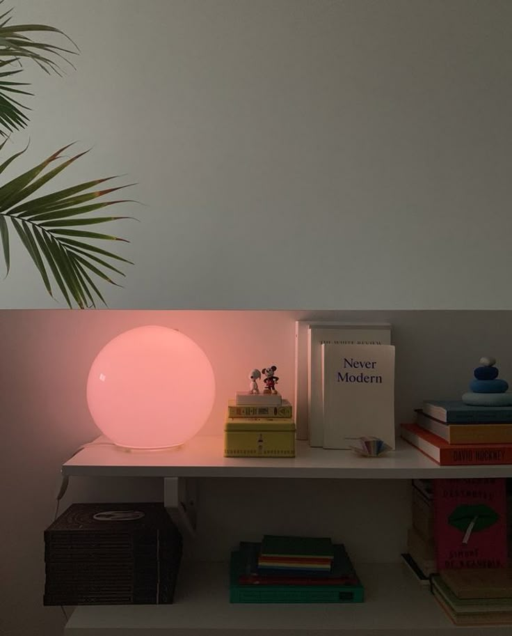 a lamp sitting on top of a white shelf next to books and a potted plant