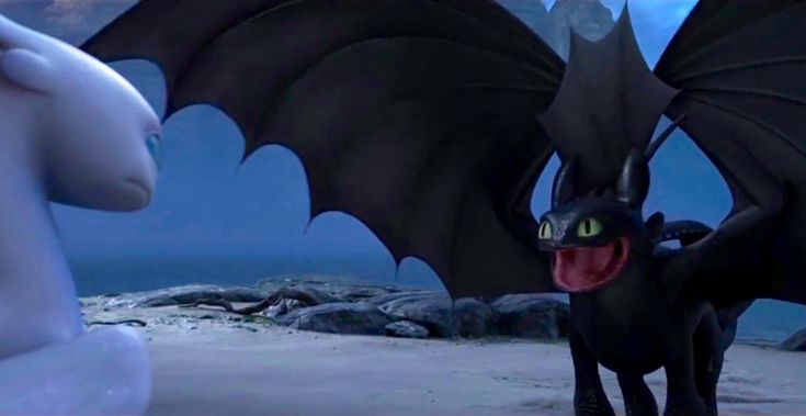 Toothless flirting is my favourite thing ever Dreamworks Dragons ...