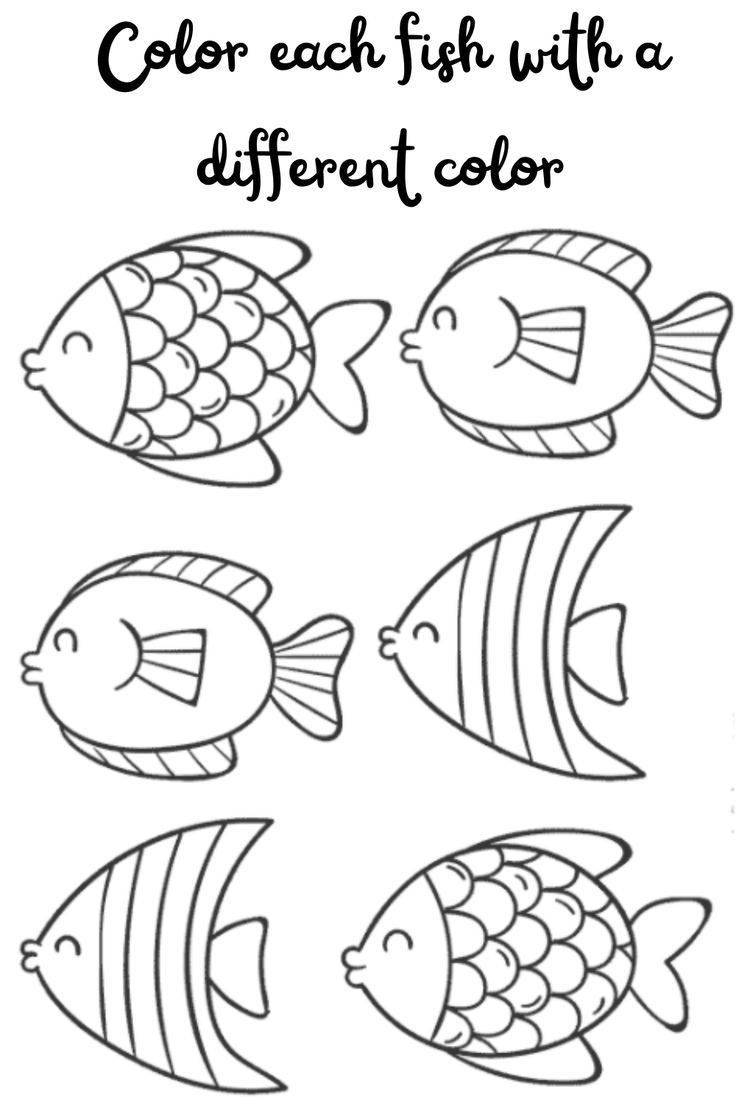 the color each fish with a different color coloring page for kids to print and color