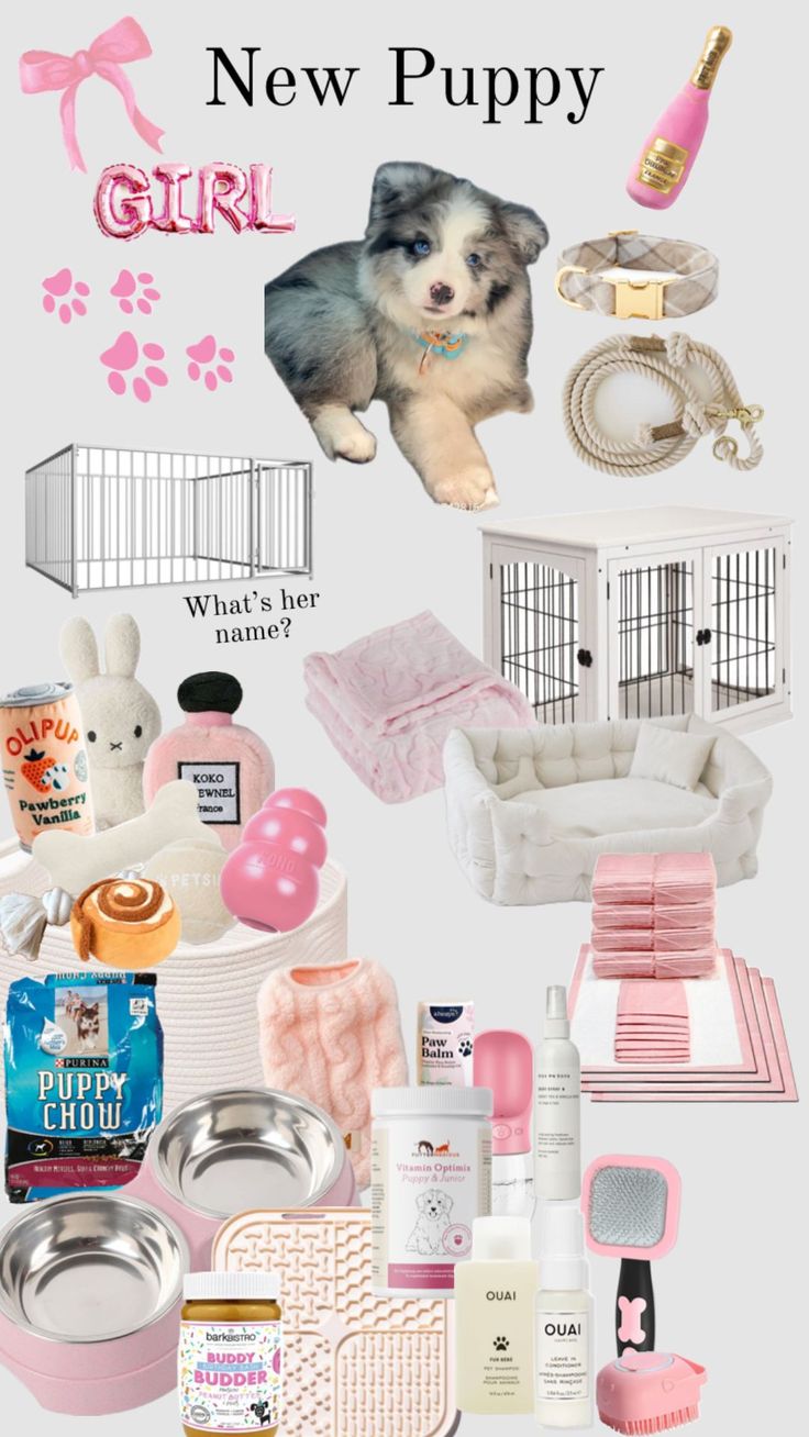 New Puppy Essentials from Amazon Puppy Must Haves, Dog Room Design, Dog Supplies List, Puppy Items, Puppy Essentials, Dog Room Decor, New Puppy Checklist, Puppy Checklist, Cute Dog Toys