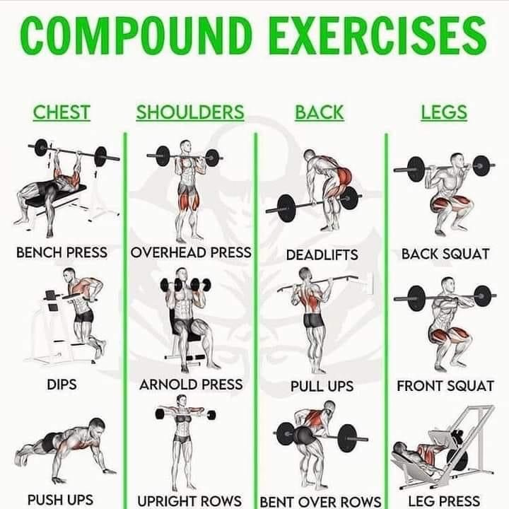 an exercise poster showing the different exercises to use for your chest and back workouts