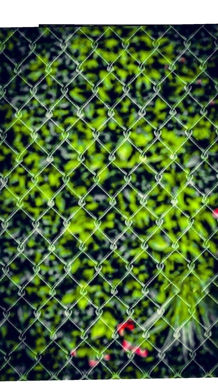 a green and black background with leaves behind a chain link fence