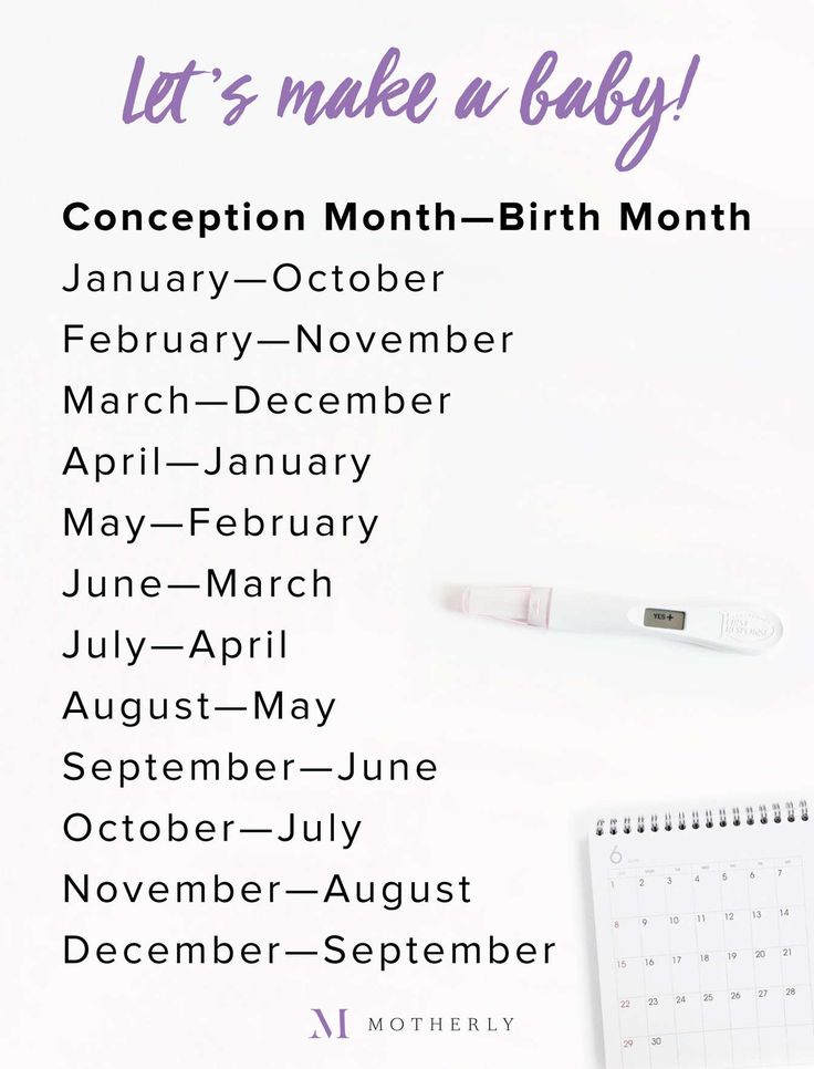 an image of a baby's calendar with the words let's make a baby