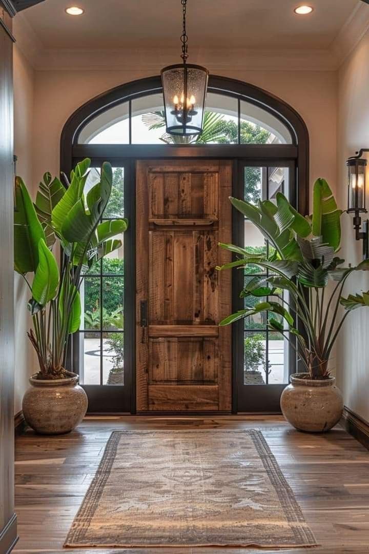 an entryway with potted plants and a wooden door that leads to another room