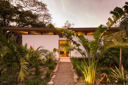 the house is surrounded by tropical plants and trees