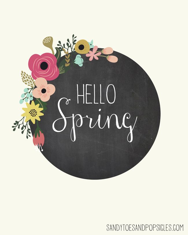 a blackboard with the words hello spring written on it