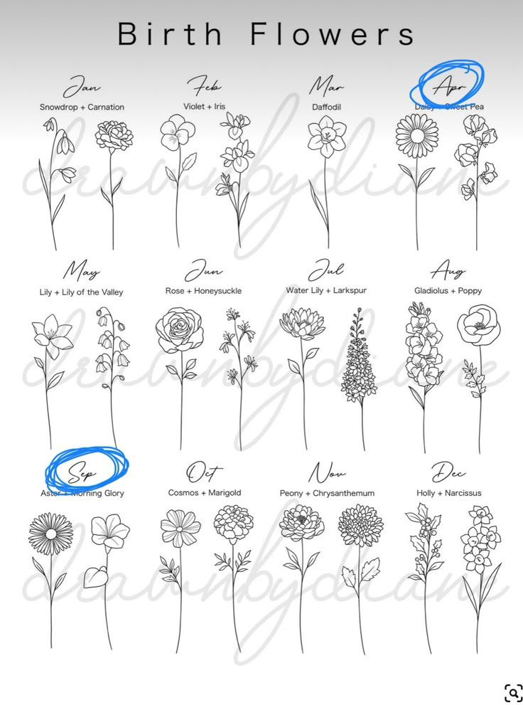 the birth flowers are shown in blue ink