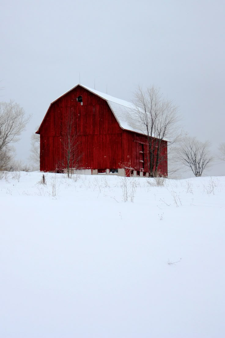 a red barn in the middle of a snowy field