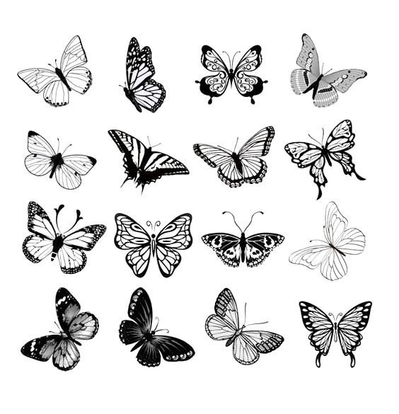 black and white butterflies on a white background, set of nine different types of butterflies