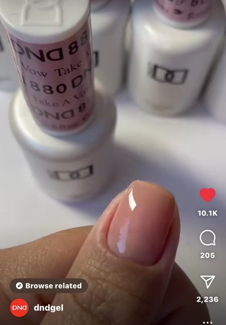 Dnd Gel French Manicure, Neutral Nails Dnd Gel, Dnd Natural Gel Color, Dnd Neutral Gel Polish, Dnd Gel Polish Colors Neutral, Dnd Nail Colors, Dnd Polish, Dnd Colors, Dnd Nails