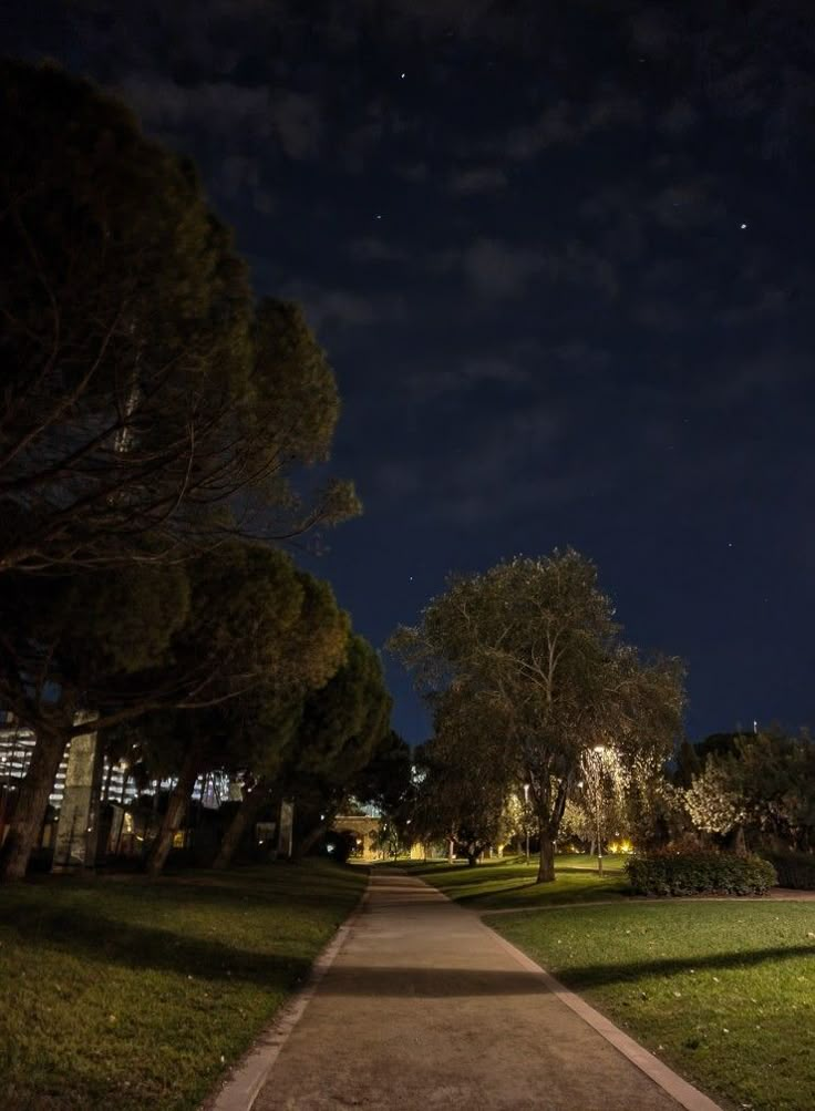 an empty path in the middle of a park at night with trees and grass on both sides