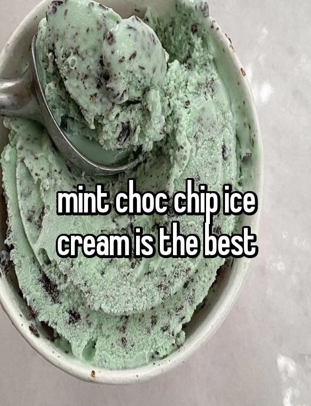 an ice cream bowl filled with mint chocolate chip ice cream is the best