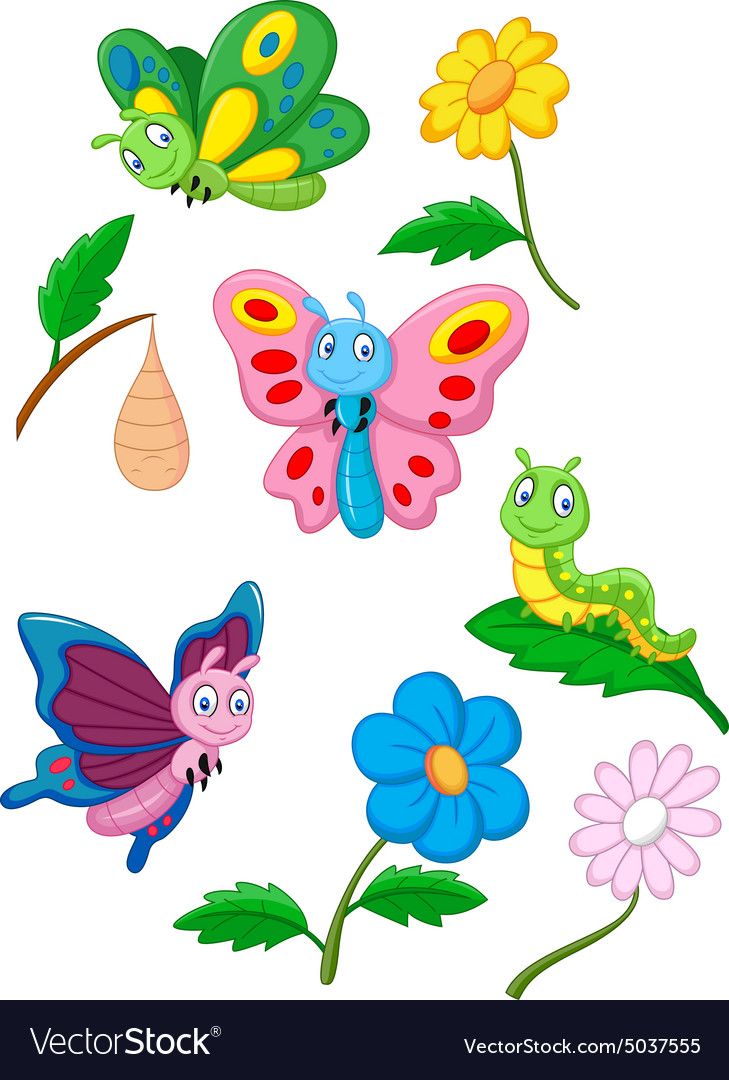 butterflies and flowers on a white background