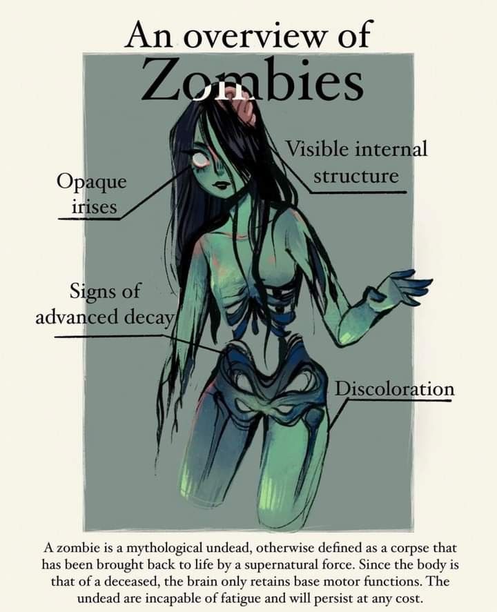 an overview of zombies and other things to see in this graphic about the human body