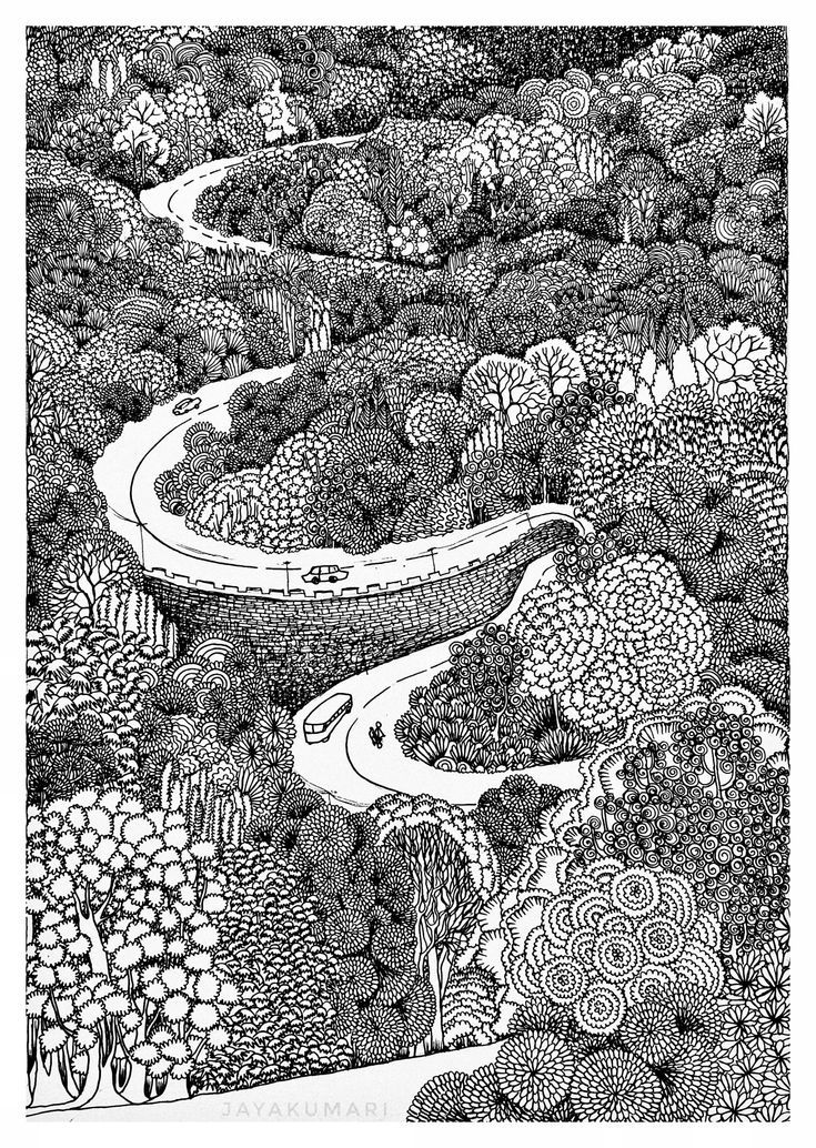 a black and white drawing of a river in the middle of a forest with lots of trees