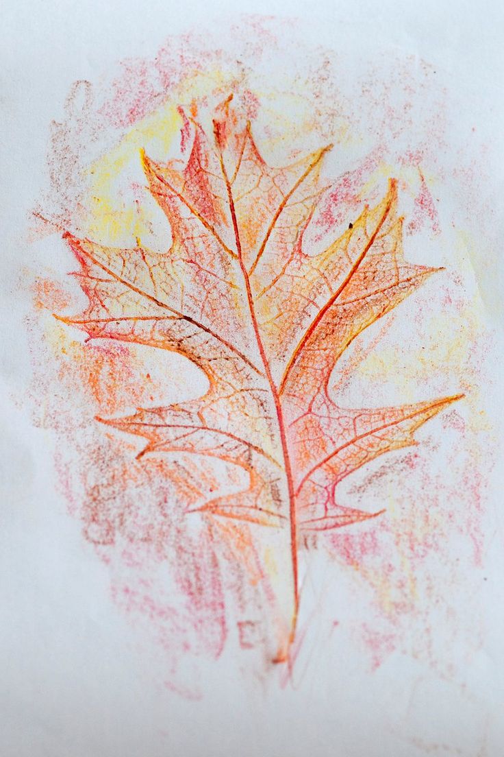 a drawing of a leaf on paper with colored crayons