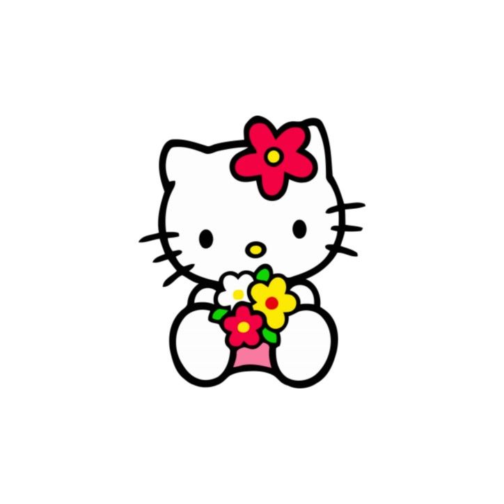 a hello kitty holding a bouquet of flowers