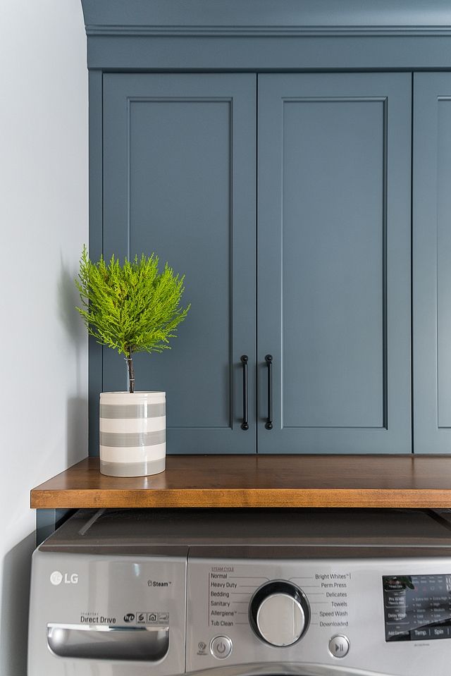 a potted plant sitting on top of a washer in a laundry room with blue cabinets