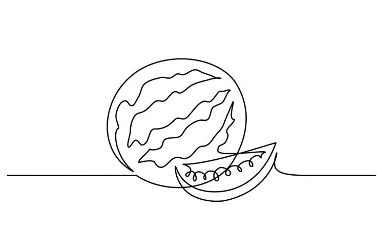 a line drawing of a half eaten melon