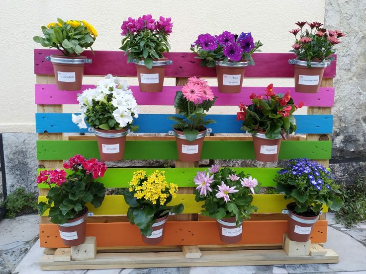 several potted plants are arranged on a multicolored pallet with flowers in them