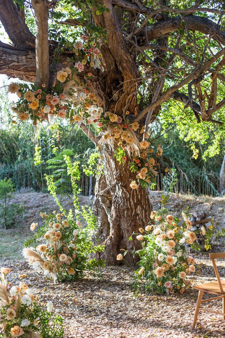 a wooden bench under a tree with flowers growing on the bark and branches around it