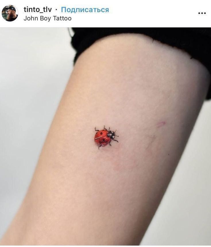 a ladybug tattoo on the right thigh