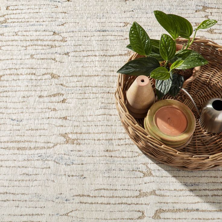 a basket filled with vases and plants on top of a carpeted floor next to a potted plant