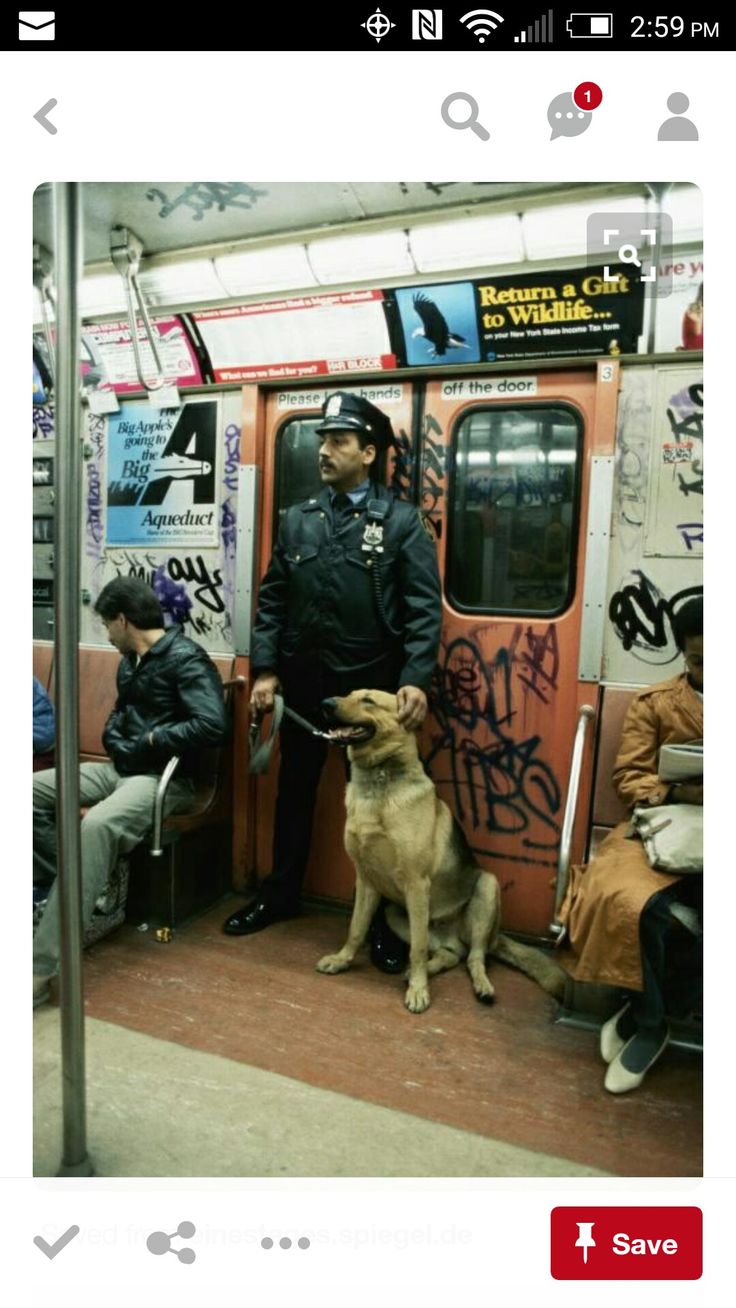 a man in uniform standing next to a dog on a subway train with graffiti all over the walls